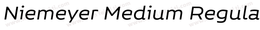 Niemeyer Medium Regular字体转换